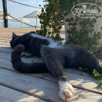 фото из отзыва ID 2731632