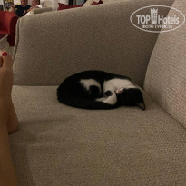 фото из отзыва ID 2731632