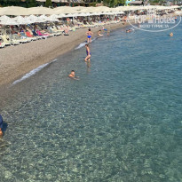 фото из отзыва ID 2731632