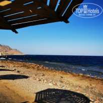 фото из отзыва ID 2731645