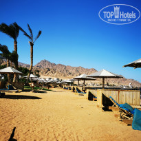 фото из отзыва ID 2731645