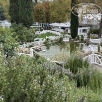 фото из отзыва ID 2731651