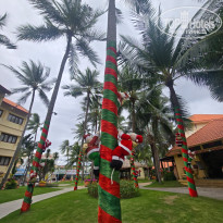 фото из отзыва ID 2731691