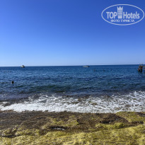 фото из отзыва ID 2731704