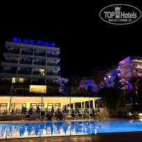 фото из отзыва ID 2731704