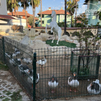 фото из отзыва ID 2731732