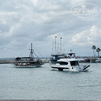 фото из отзыва ID 2731687