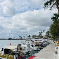 фото из отзыва ID 2731687