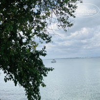 фото из отзыва ID 2731687