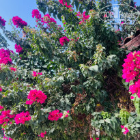 фото из отзыва ID 2731687