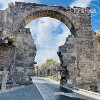 фото из отзыва ID 2731687