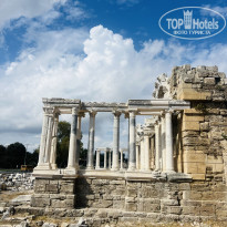 фото из отзыва ID 2731687