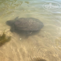 фото из отзыва ID 2731687