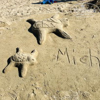 фото из отзыва ID 2731687