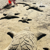 фото из отзыва ID 2731687