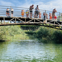 фото из отзыва ID 2731687