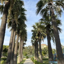 фото из отзыва ID 2731738