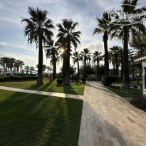 фото из отзыва ID 2731738