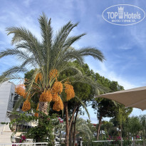 фото из отзыва ID 2731738