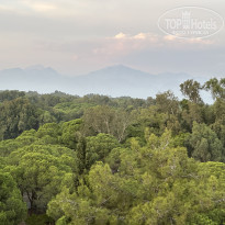 фото из отзыва ID 2731738