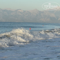 фото из отзыва ID 2731738