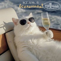 фото из отзыва ID 2731779