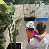 фото из отзыва ID 2731823