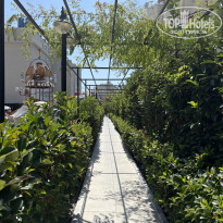 фото из отзыва ID 2731823