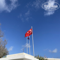 фото из отзыва ID 2731847