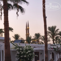 фото из отзыва ID 2731867