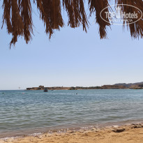 фото из отзыва ID 2731867