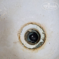 фото из отзыва ID 2731872