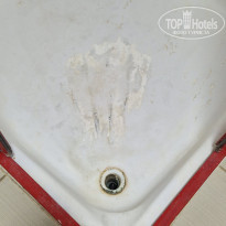 фото из отзыва ID 2731872