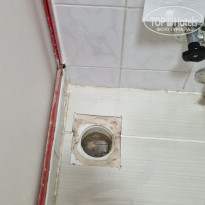 фото из отзыва ID 2731872