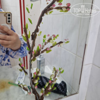 фото из отзыва ID 2731872