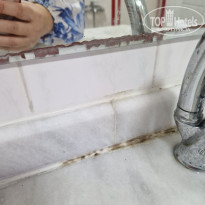 фото из отзыва ID 2731872