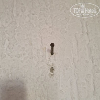 фото из отзыва ID 2731872