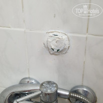 фото из отзыва ID 2731872