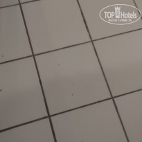 фото из отзыва ID 2731911