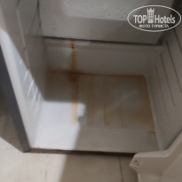 фото из отзыва ID 2731911