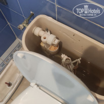 фото из отзыва ID 2731911