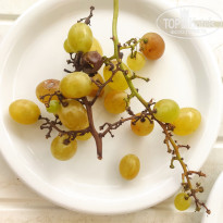 фото из отзыва ID 2731911