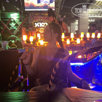 фото из отзыва ID 2731931