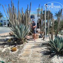 фото из отзыва ID 2731975