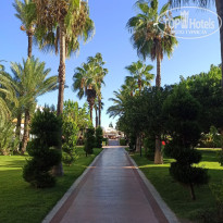 фото из отзыва ID 2731982