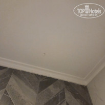 фото из отзыва ID 2732013