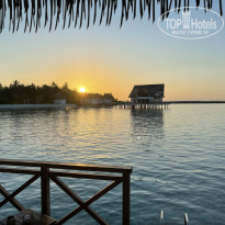 фото из отзыва ID 2732043