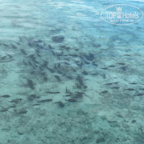 фото из отзыва ID 2732043