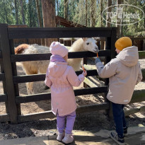 фото из отзыва ID 2732047