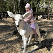 фото из отзыва ID 2732047